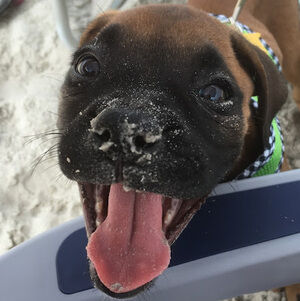 Meet your Posher, Serena